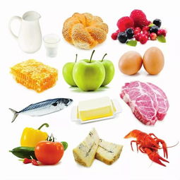 素食者蛋白质来源于什么食物中