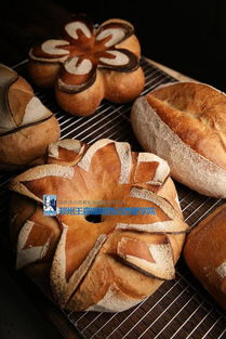 面包烘焙基础知识
