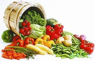 农产品直供：打造绿色健康餐桌，引领农业产业升级
