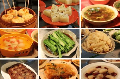 小吃是中国饮食文化中不可或缺的一部分，具有悠久的历史和丰富的品种。本文将主要探讨小吃文化内涵的各个方面，包括起源与历史、地方特色、制作工艺、与民俗文化的关系、传承与发展、营养与健康、文化交流与传播以及未来发展趋势。