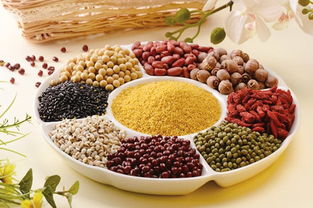 全谷物的营养价值：纤维、维生素和矿物质、蛋白质、抗氧化物质和脂肪酸