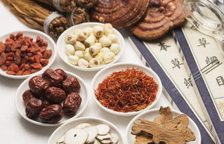 中医食疗在现代饮食中的应用，一、食疗的概念与起源