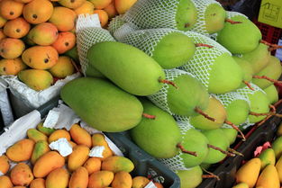 海南热带水果种类大全
