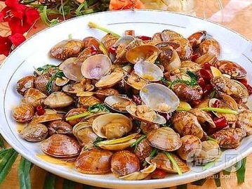 海产品种类贝壳类