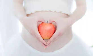 怀孕适合吃什么营养品