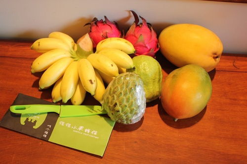 海南热带水果种类