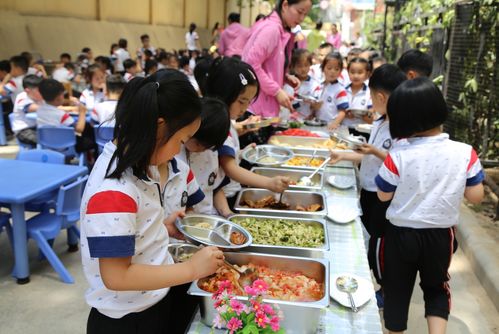 节庆饮食文化对幼儿食育活动的影响