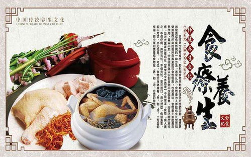 中国饮食文化：滋养身心的美味之力