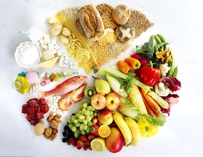 减肥期间合理饮食
