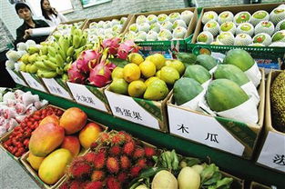 海南热带水果大全100种蔬菜
