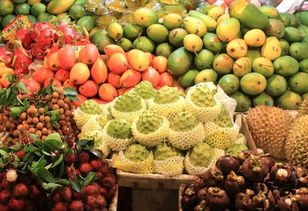 海南热带水果有多少品种的水果